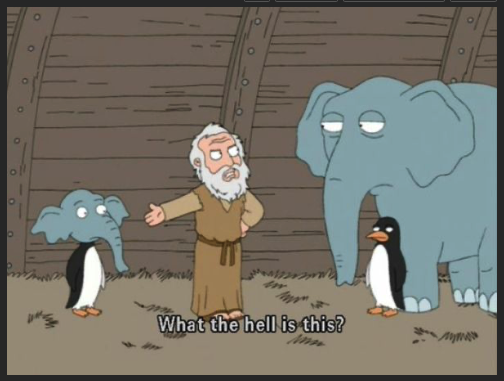 What the hell is this?